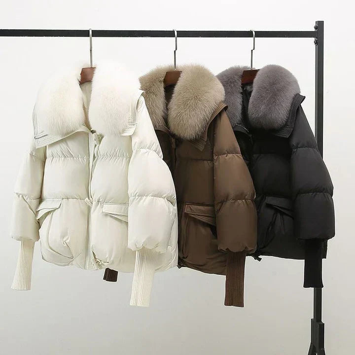 Women's winter jacket in brown