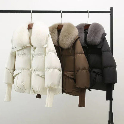 Women's winter jacket in brown